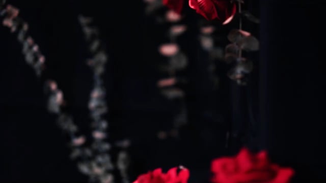 Video YUCI Soloist (Conjuring Edition) Playing Cards by TCC (VT)