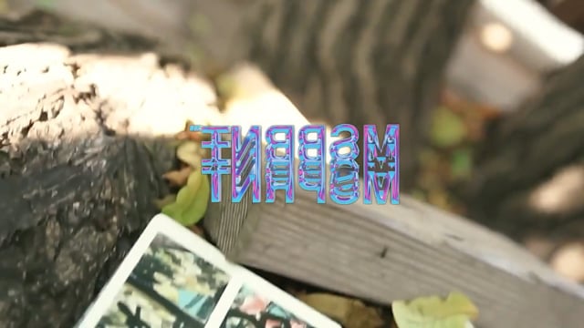 Video MSPRNT 00 - 