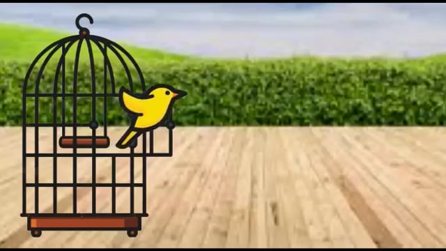 Video HAPPY BIRD PADDLE by Dar Magia - Trick (VT)