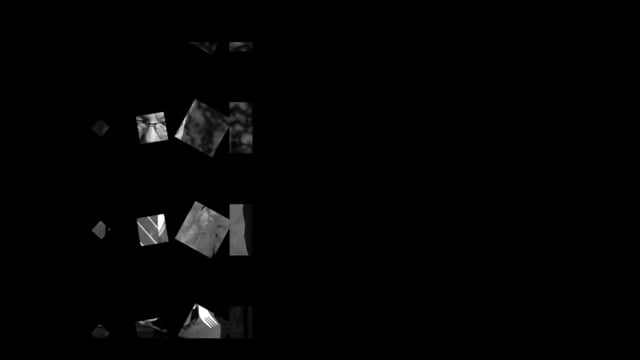 Video ESP (EMOTIONAL SENSITIVITY PROJECT) by Michael Breggar - Trick (VT)