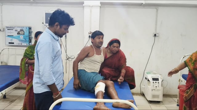 पैदापुर महौता गांव में लंगूर का आतंक जारी, फिर एक ग्रामीण पर हमला, भागलपुर रेफर।