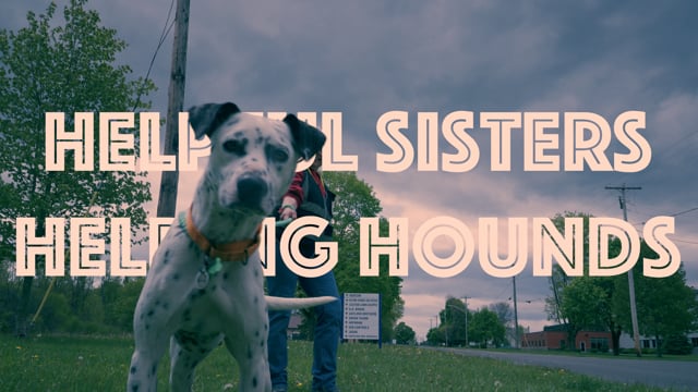 Cover image for Helpful Sisters Helping Hounds