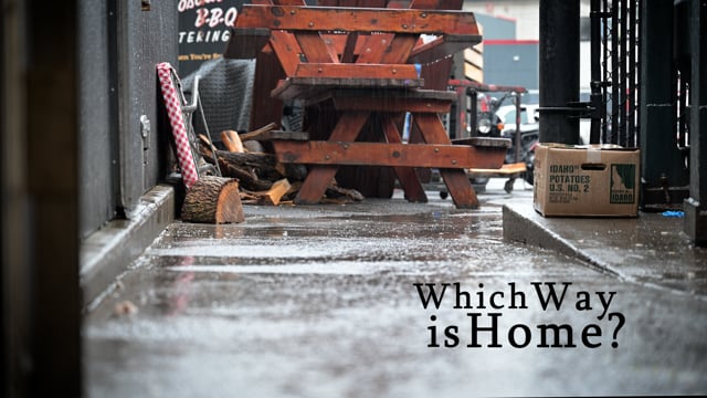 Cover image for What Way is Home
