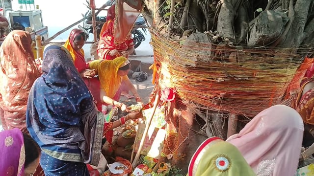 श्रद्धा, भक्ति और परंपरा का संगम, उत्साह से मनाया गया वट सावित्री व्रत