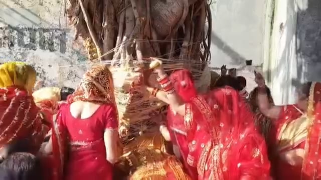 वट अमावस्या पर महिलाओं ने किया व्रत, पति की दीर्घायु की कामना
वट अमावस्या के पावन अवसर पर सुहागिन महिलाओं ने वट (बरगद) वृक्ष की विधि-विधान से पूजा-अर्चना कर अपने पति की लंबी आयु और सुख-समृद्धि की कामना की। सुबह से ही महिलाओं में विशेष उत्साह देखने को मिला। उन्होंने स्नान-ध्यान के बाद नए वस्त्र धारण कर पूजा की थाली सजाई और वट वृक्ष के पास पहुंचकर जल अर्पित किया।