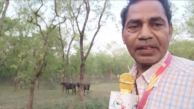 बट वृक्ष की पूजा करते सुहागन महिलाओं से बातचीत