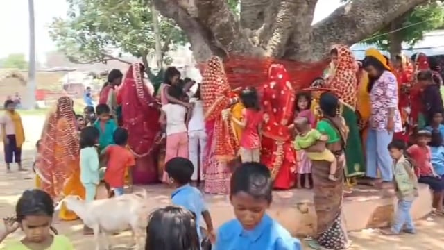 श्रद्धा की डोर से बंधा वटवृक्ष, अखंड सुहाग की कामना में लीन दिखीं बांका की सुहागिनों