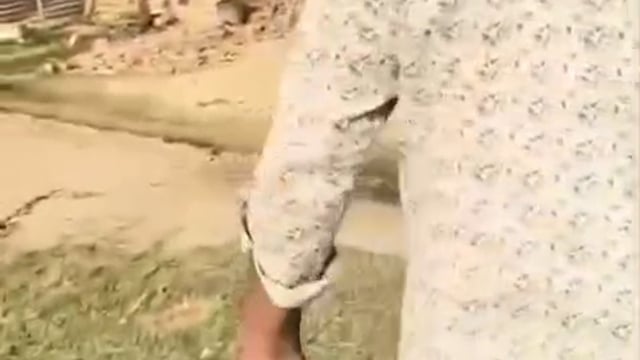 *ब्रेकिंग न्यूज़*
  
▶️......सुलतानपुर: सरैया पूरे बिसेन में खेल मैदान-खलिहान पर कब्जा, लेखपाल-कानूनगो और प्रधान खामोश*