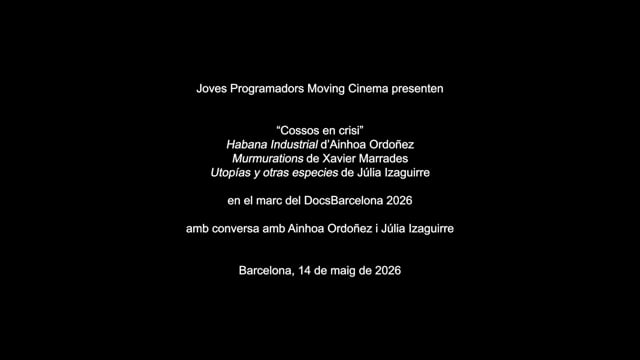 vimeo video