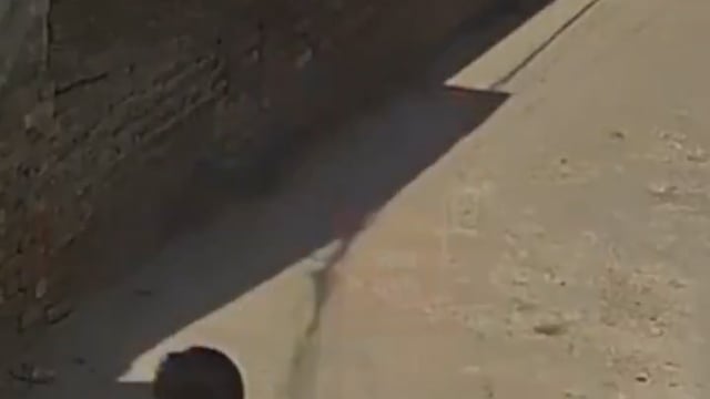 पंजाब के जलंधर थाने से 600 मीटर दूर धारदार हथियार लिये दो बदमाश एक युवती से रुपये और बच्चा छीनने की कोशिस