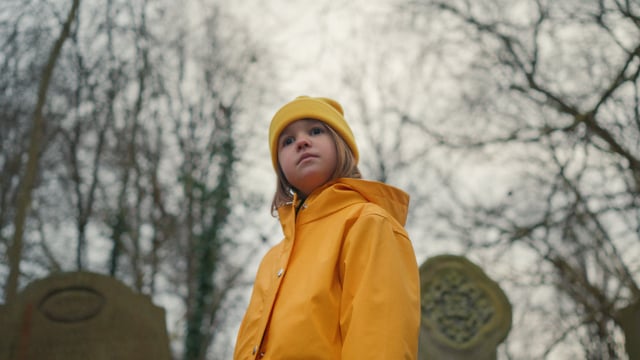The Park with the Stones - Teaser Trailer