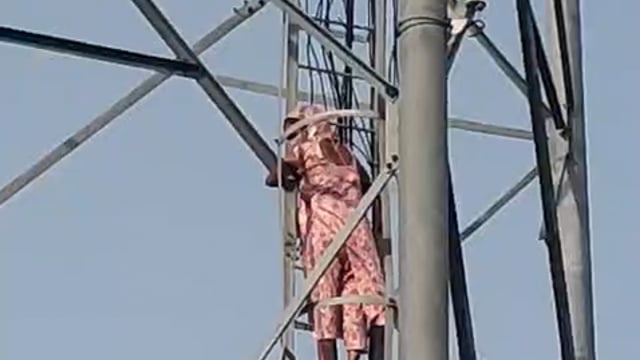 रोजा क्षेत्र में एक महिला द्वारा प्रेमी के साथ टावर पर चढ़ने की घटना से इलाके में हड़कंप मच गया। जानकारी के अनुसार, महिला किसी निजी विवाद के चलते टावर पर चढ़ गई, जिसके बाद मौके पर बड़ी संख्या में लोगों की भीड़ जमा हो गई।
स्थानीय लोगों ने तुरंत पुलिस को सूचना दी। पुलिस और प्रशासन की टीम मौके पर पहुंची और महिला को सुरक्षित नीचे उतारने के प्रयास शुरू किए। काफी देर तक समझाने-बुझाने के बाद महिला को नीचे उतार लिया गया।