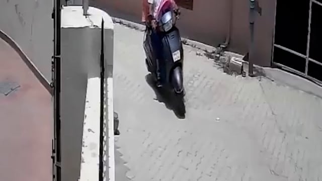 ▶️.....पंजाब के कुराली में  दिनदहाड़े साढ़े चार साल की बच्ची का उसके दादा-दादी के सामने अपहरण कर लिया गया
बच्ची को बचाने की कोशिश में सामने आए दादा-दादी को कार चालक ने कुचलने का भी प्रयास किया
बच्ची के पिता के अनुसार, उनका पत्नी के साथ पारिवारिक विवाद चल रहा है और बच्चों की कस्टडी को लेकर मामला अदालत में है। पिता ने आशंका जताई है कि उनकी पत्नी ने ही कथित तौर पर अपहरणकर्ताओं की मदद से बच्ची का किडनैप कराया है