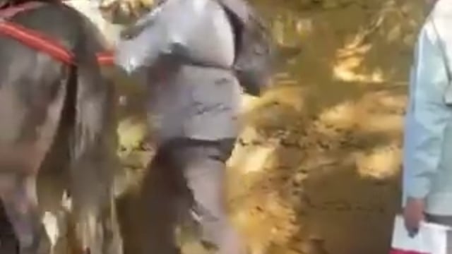 रुद्रप्रयाग में केदारनाथ यात्रा मार्ग पर एक यात्री और घोड़ा संचालक के बीच कहासुनी मारपीट में बदल गई। घटना का वीडियो सोशल मीडिया पर तेजी से वायरल हो रहा है।