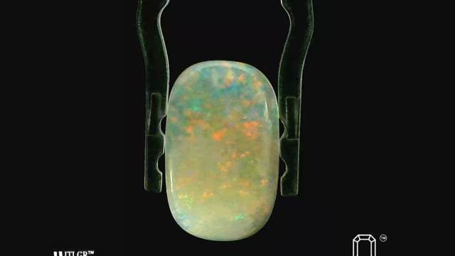 Video 1