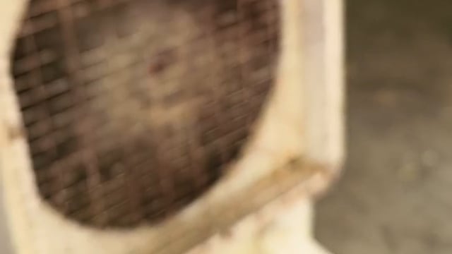 मथुरा के नौहझील क्षेत्र मे भारतीय किसानयूनियनटिकेट के वरिष्ठकार्यकर्ता ने ब्रज 84कोस परिक्रमाखानापानी रहनेका किया इंतजाम