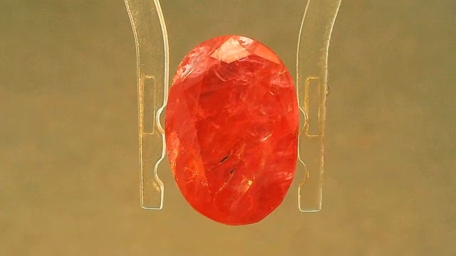 Video 1