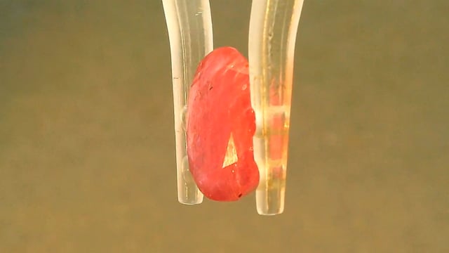 Video 3
