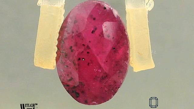 Video 1