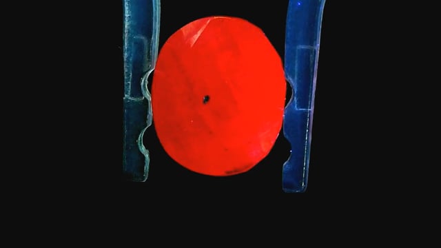Burma Ruby 5.10 Carat — video