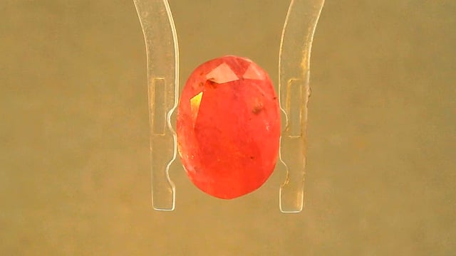 Video 2