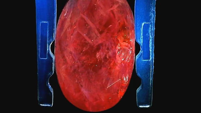Video 2