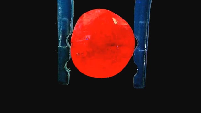 Video 2