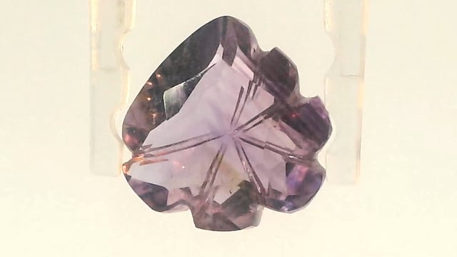 Video 1