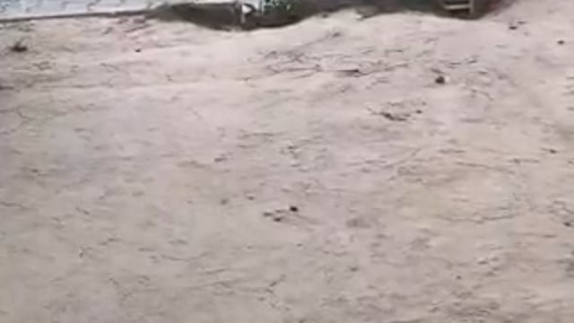 ▶️......यूपी: बुलंदशहर के थाना खानपुर क्षेत्र में युवक की बेरहमी से पिटाई का वीडियो वायरल
वायरल वीडियो में एक युवक को लाठी-डंडों व लोहे की रॉड से पीटते दिख रहे दबंग
पारिवारिक विवाद में पीड़ित युवक पर किया गया जानलेवा हमला
पीड़ित की तहरीर पर मामला दर्ज कर आरोपी की तलाश में जुटी थाना पुलिस
शिकायत में आरोपियों पर धारदार हथियार और पिस्टल तानने का भी आरोप
बुलंदशहर के खानपुर थाना क्षेत्र के गांव गुरावली में हुई वारदात
