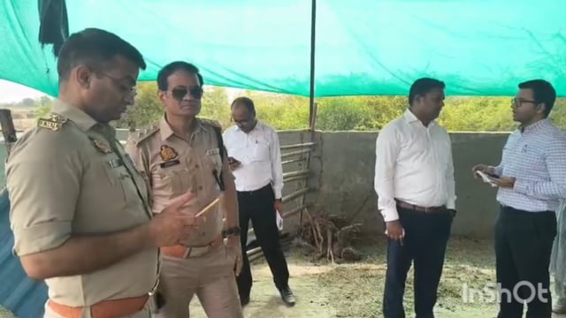 थाना रिफाइनरी क्षेत्र गांव भैंसा मैं गौशाला में एक दर्जन गायों की हुई मौत 