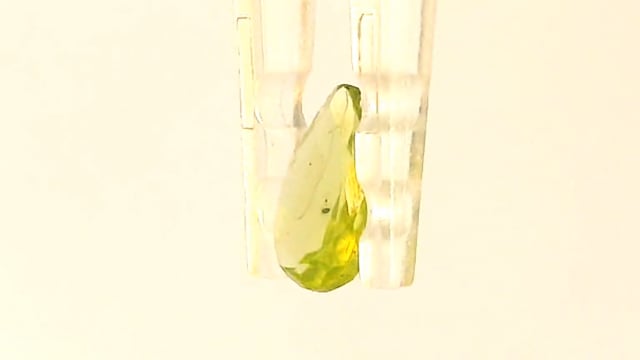 Video 1