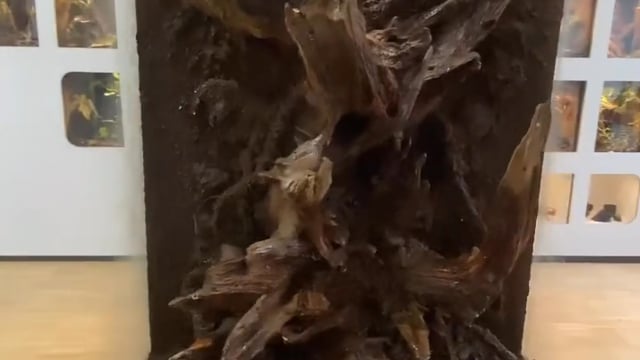 ToxFrogs Referenzen für Regenwaldterrarien