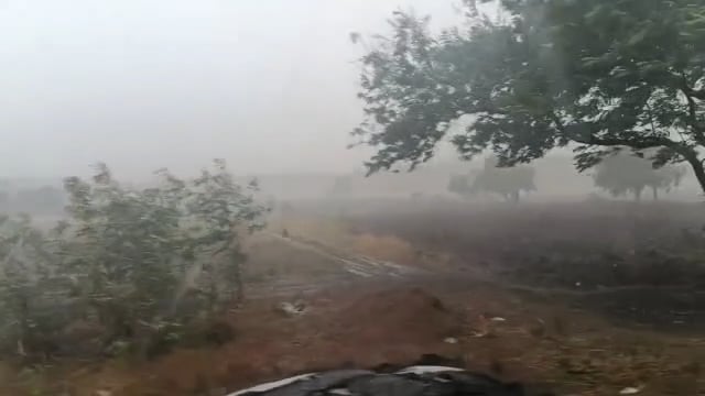 निलंगा तालुक्यात विजेच्या कडकडाटासह मुसळधार पाऊस