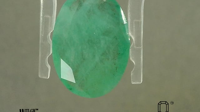 Video 1