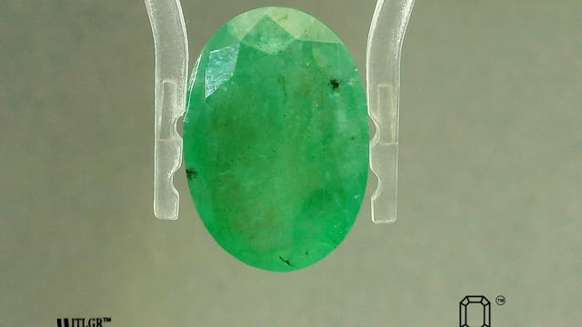 Video 1