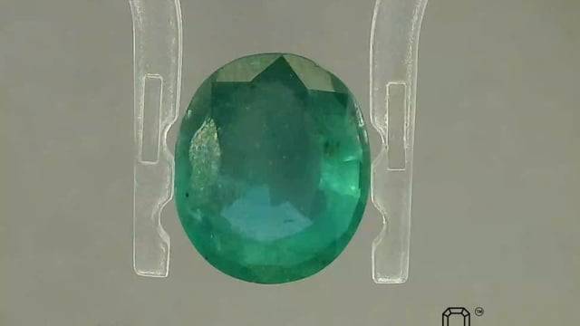 Video 1