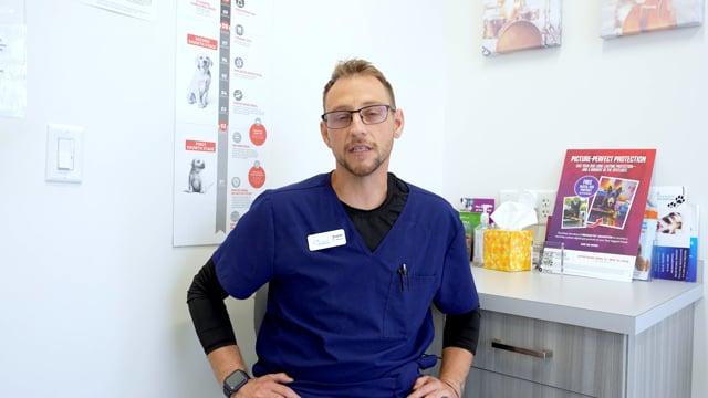 Riverpark Pet Hospital staff testimonial preview