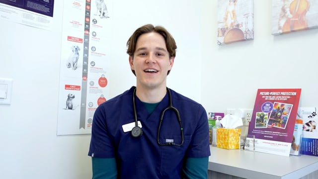 Riverpark Pet Hospital staff testimonial preview