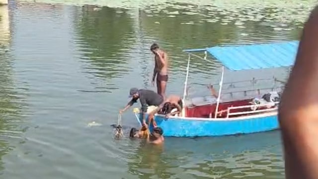 ▶️.....अभी अभी भरतकुंड सरोवर में 19 वर्षीय युवक की डूब के मौत, 2 घंटे बाद निकला शव*
अयोध्या।
भरतकुंड के पौराणिक सरोवर में 3 युवकों के साथ जजवारा से नहाने आया विकास पुत्र छोटे लाल 19 की डूब के मौत हो गई है। सूचना मिलते ही लोगों ने पुलिस की मदद से 2 घंटे की कड़ी महकत के बाद शव को निकाला है।