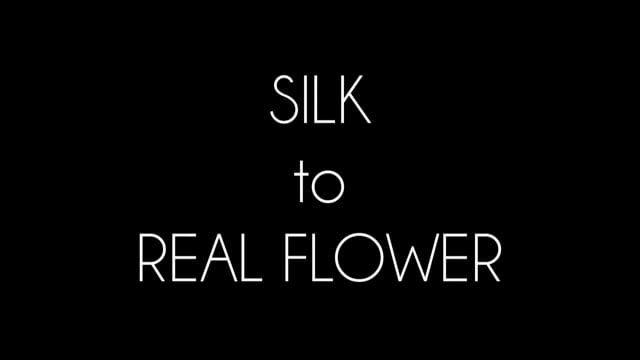 Video Silk to Real Flower (Red) by Juan Pablo