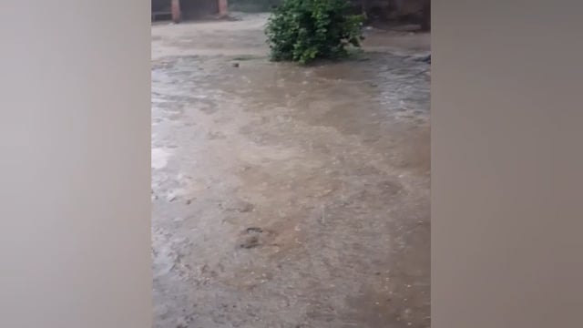 अंबेडकर नगर में जहां एक तरफ सूर्यदेव के तीखे तेवरों के कारण 'नौतपा' ज्येष्ठ मास के वे 9 दिन जब गर्मी अपने चरम पर होती है अपना प्रचंड रूप दिखा रहा था वहीं मौसम ने अचानक करवट बदल ली है। अंबेडकर नगर और उसके आस-पास के कई जिलों में तेज हवाओं और गरज-चमक के साथ हुई झमाझम बारिश ने लोगों को भीषण तपन और लू के प्रकोप से बड़ी राहत दी है।