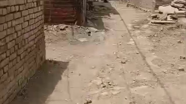 ▶️.....रीवा के करहिया नं. 2 में 'हरिजन बस्ती' की सड़क पर राजनीति भारी, मालवा-कंक्रीट बिछने के बाद भी काम रुका. lll