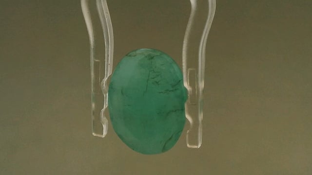 Video 1