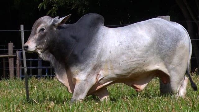 Lote 28