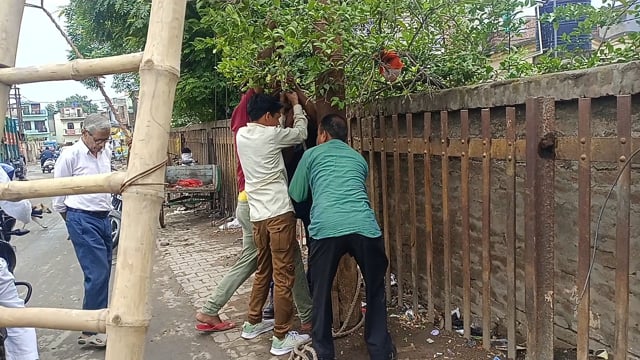 ढीली ट्रिपिंग से 11 हजार लाइन रही बाधित, आठ घंटे गुल रही बिजली; पानी संकट से लोग परेशान
शाहजहांपुर। शहर के लाल तेली बजरिया क्षेत्र में 11 हजार वोल्ट लाइन की ट्रिप ढीली होने के कारण करीब आठ घंटे बिजली आपूर्ति बाधित रही। लंबे समय तक बिजली न आने से लोगों को भारी परेशानी का सामना करना पड़ा।