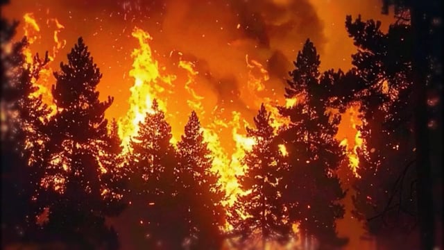 Firecatchers