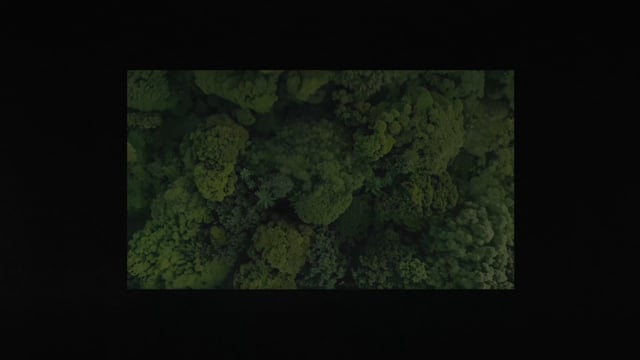 No Blue, No Green