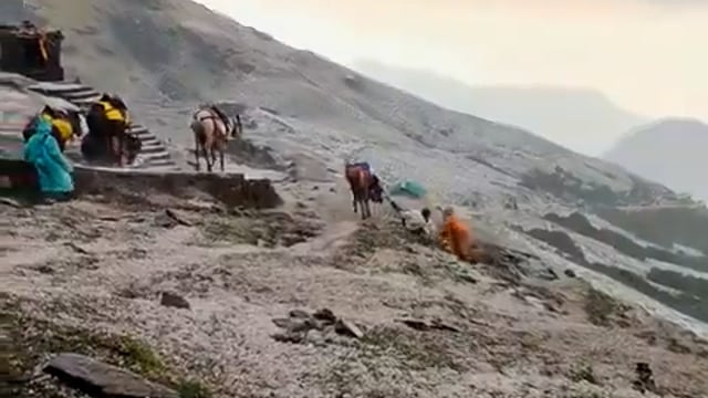 उत्तराखंड, तुंगनाथ-
पहाड़ में बारिश के समय यात्रा में कई दुश्वारियां आती हैं, देखिए कैसे घोड़ा बिदका और महिला घोड़े से नीचे जा गिरी,
किसी तरह से घोड़े वाले ने महिला को बचाया
बारिश के दौरान पहाड़ी क्षेत्रों में घोड़े या खच्चर पर यात्रा करना जोखिम भरा माना जाता है। विशेषकर हिमालयी मार्गों पर वर्षा होने से रास्ते बेहद फिसलन भरे हो जाते हैं, जिससे घोड़े और खच्चरों के फिसलने की आशंका बढ़ जाती है।
केदारनाथ, यमुनोत्री तुंगनाथ जैसे संकरे और खड़ी चढ़ाई वाले मार्गों पर यह खतरा और अधिक बढ़ जाता है। कई मामलों में जानवरों के संतुलन बिगड़ने से यात्री भी दुर्घटना का शिकार हो जाते हैं। इसलिए बारिश के समय ऐसे स्थान पर घोड़े खच्चरों से यात्रा कतई नहीं करनी चाहिए