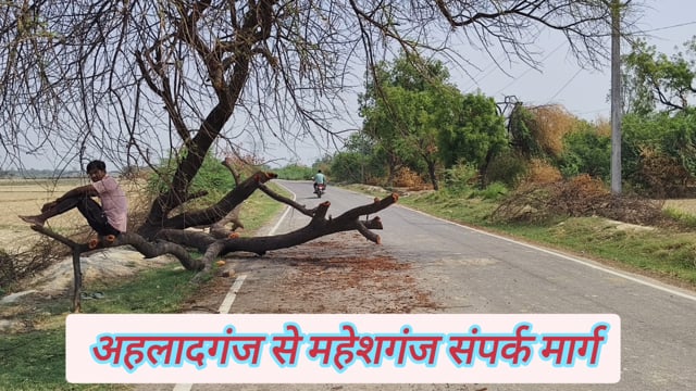 बाबागंज के ग्राम सभा रायगढ़ ऊंचवापार घोसियाना में सड़क पर मौत को दावत देता पेड़ जिम्मेदार मौन#latest_news 