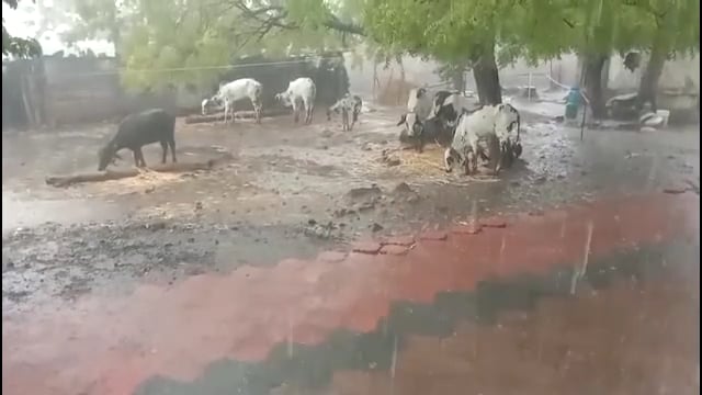 उदगीर तालुक्यात ठीक ठिकाणी मान्सूनपूर्व पावसाची हजेरी,मशागतीच्या कामाला येणार वेग